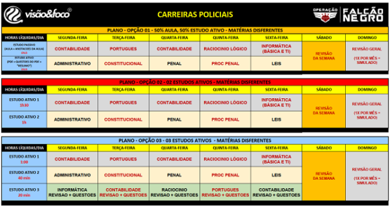 Plano De Estudo Policial Gabriela Melo Vis O E Foco